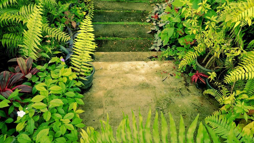 Villa Mariana Kochi Ngoại thất bức ảnh